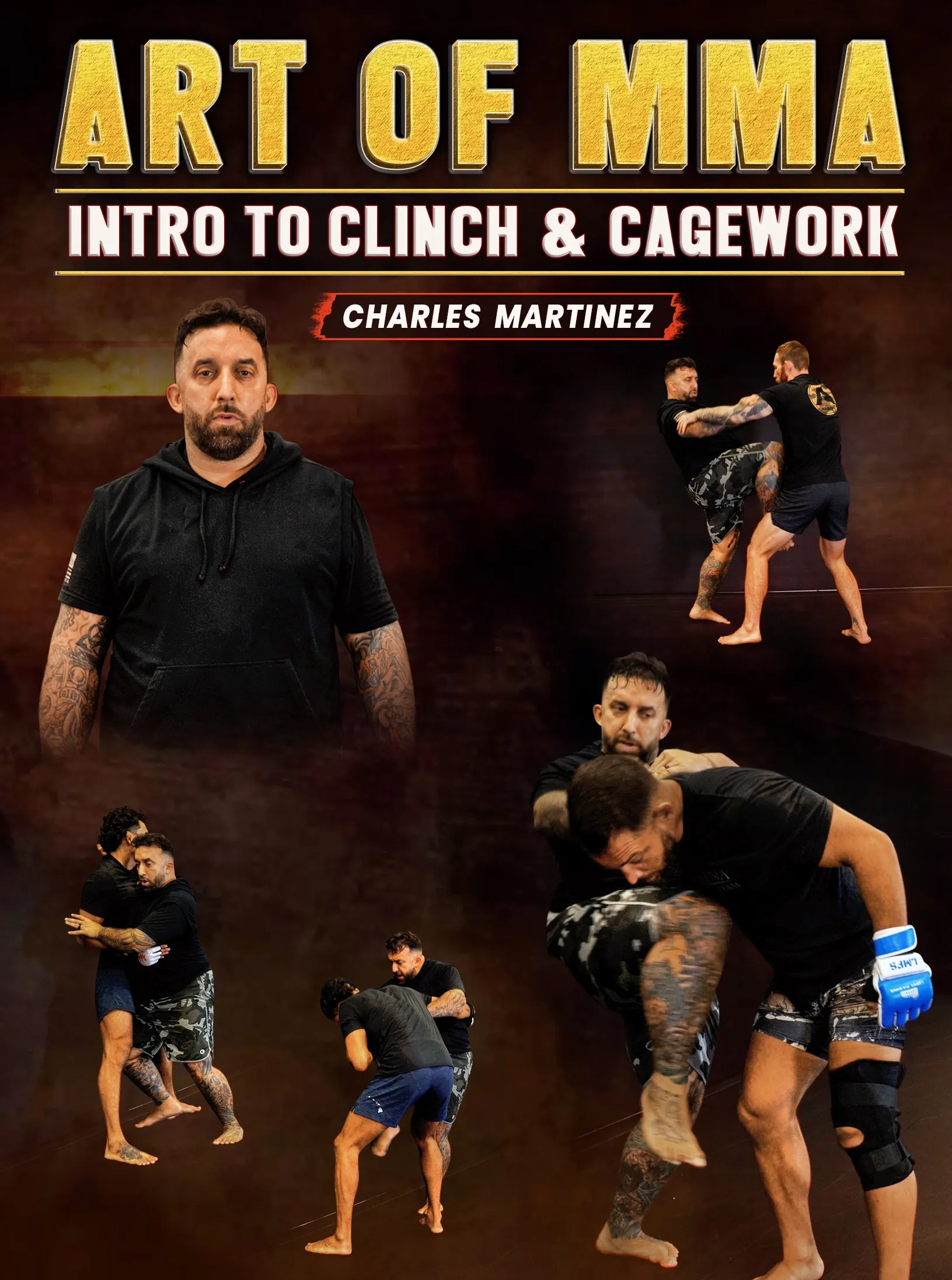 Art of MMA Intro to Clinch & Cagework by Charles Martinez