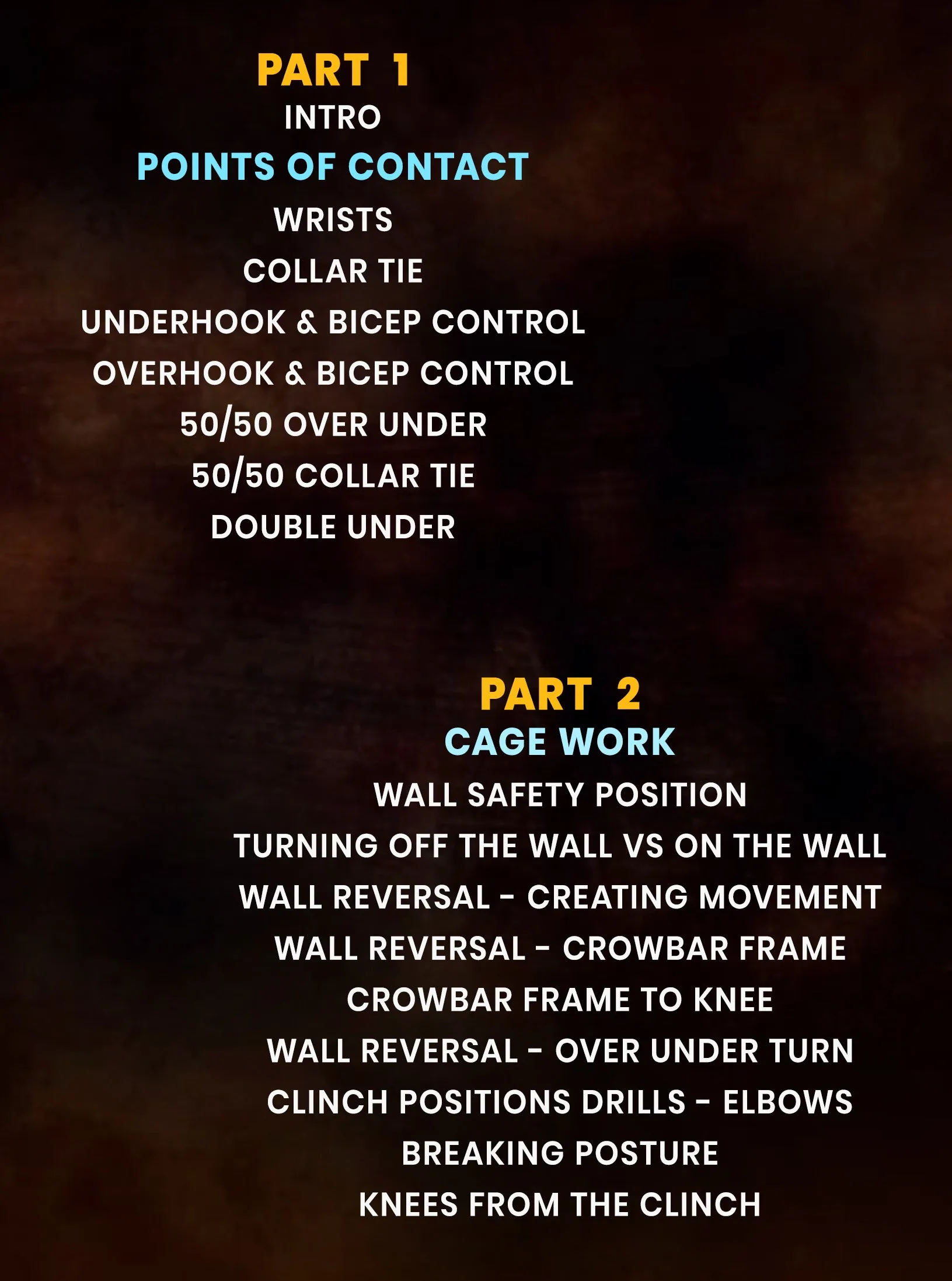 Art of MMA Intro to Clinch & Cagework by Charles Martinez