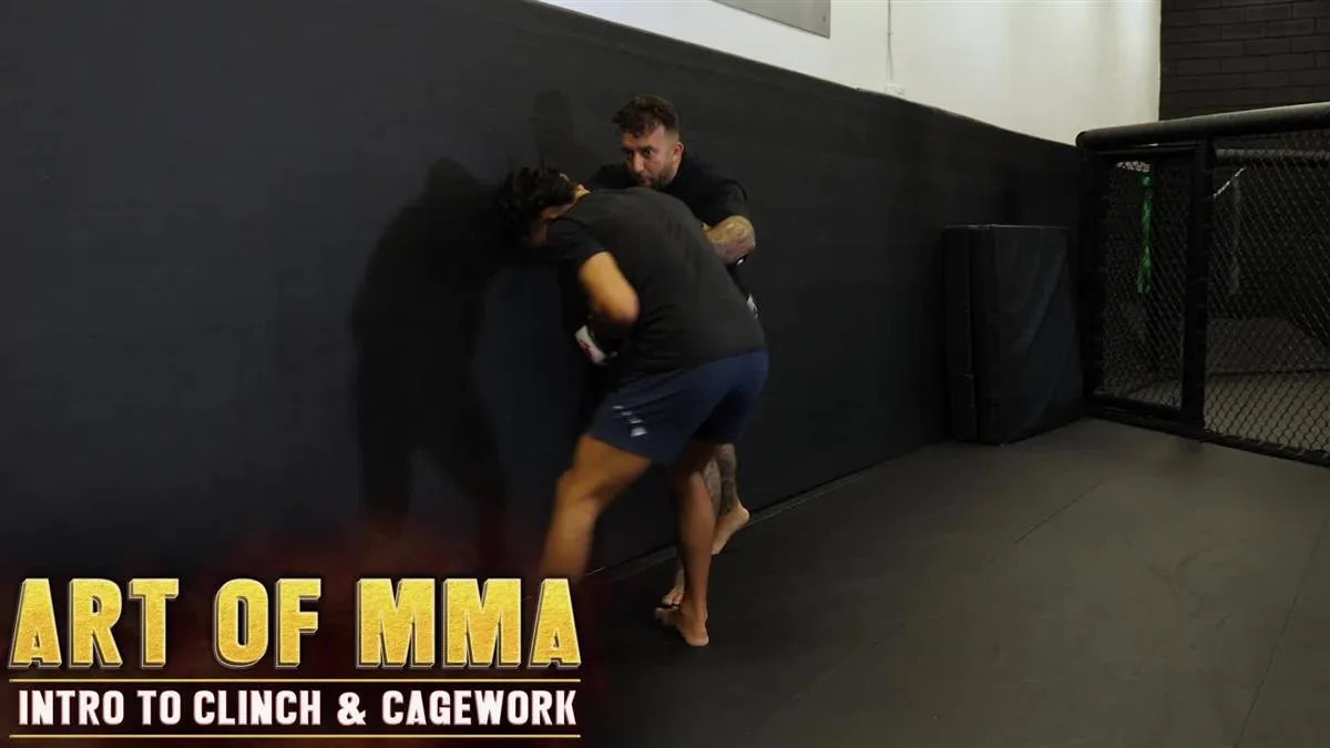 Art of MMA Intro to Clinch & Cagework by Charles Martinez