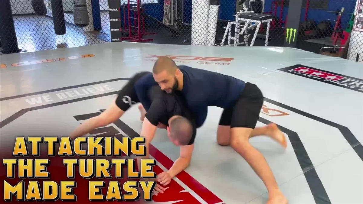 Attacking the Turtle Made Easy by Firas Zahabi