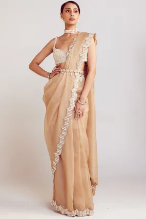 Beige Pearl Embellished Saree