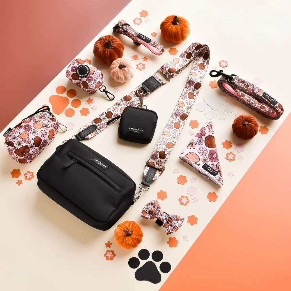 Dog Walking Black Bag Bundle - Pumpkin Meadow