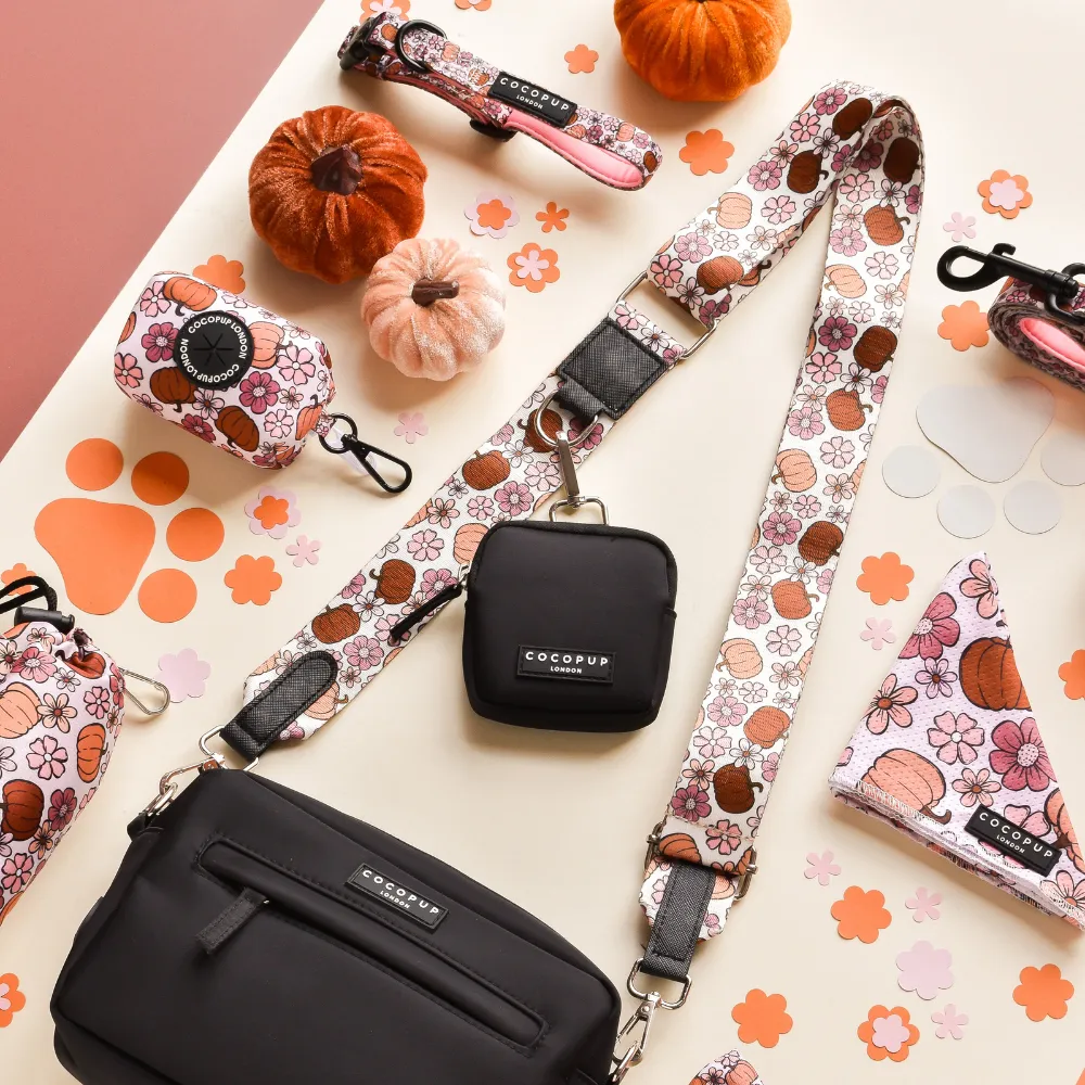 Dog Walking Black Bag Bundle - Pumpkin Meadow