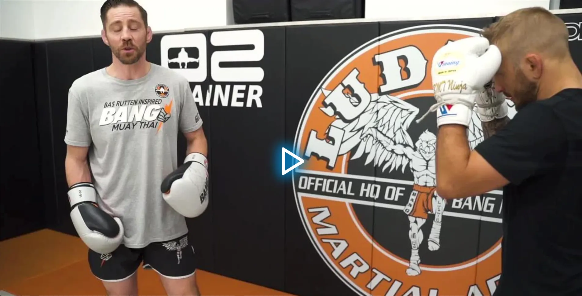 Dynamic Striking Defense by Duane Ludwig