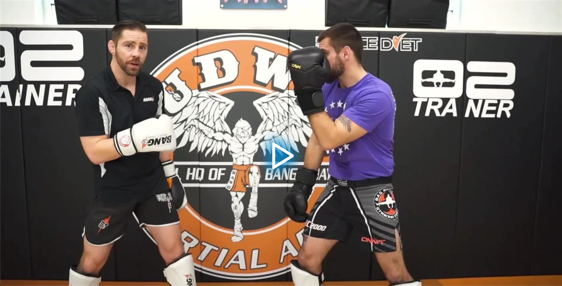 Dynamic Striking Defense by Duane Ludwig