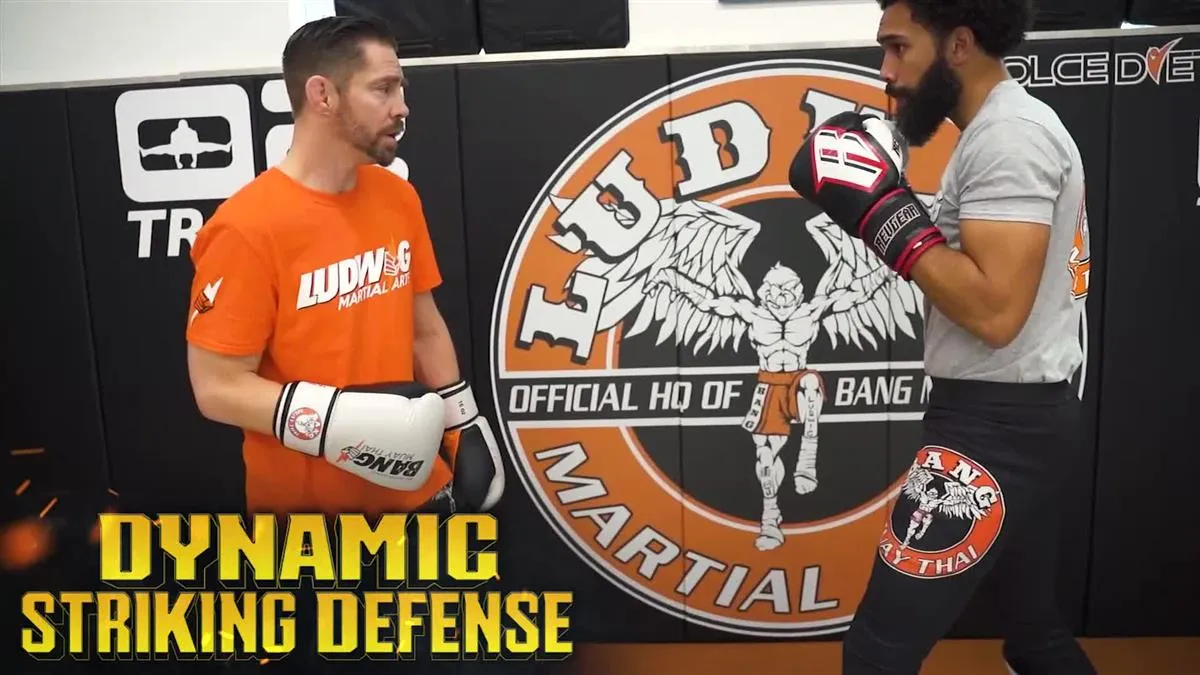 Dynamic Striking Defense by Duane Ludwig