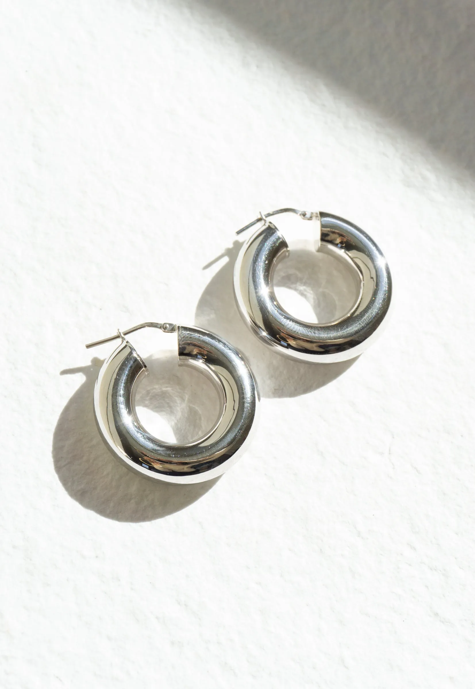 Essentialist Earrings in Silver