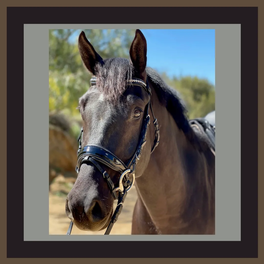 Madison - Black Patent Gunmetal Sparkle Snaffle Bridle