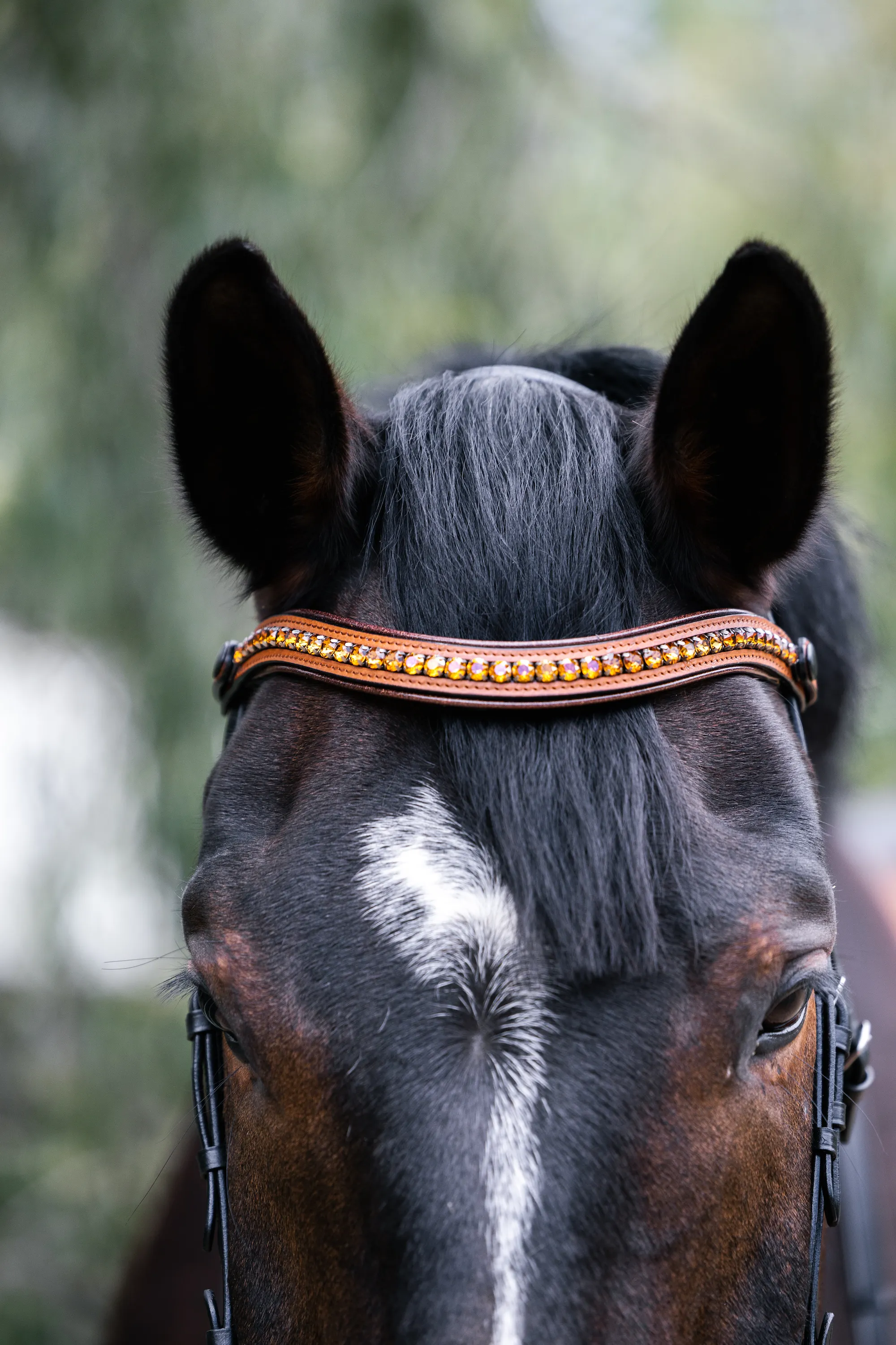 Madrid - Cognac Leather Snaffle Bridle With Flash