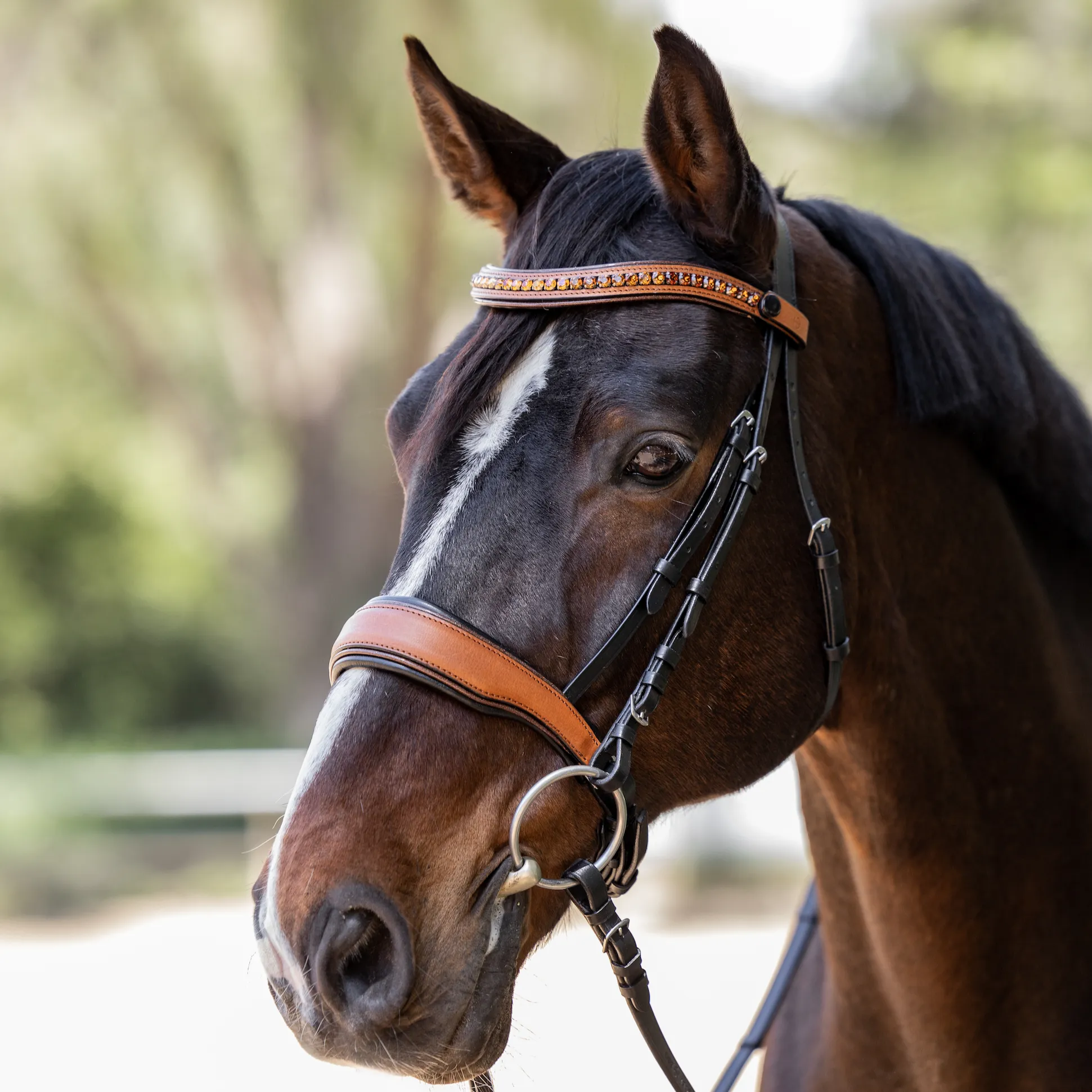 Madrid - Cognac Leather Snaffle Bridle With Flash