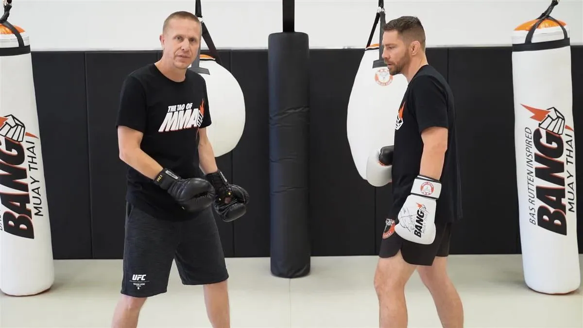 Tao of MMA: MMA Striking by Trevor Wittman and Duane Ludwig